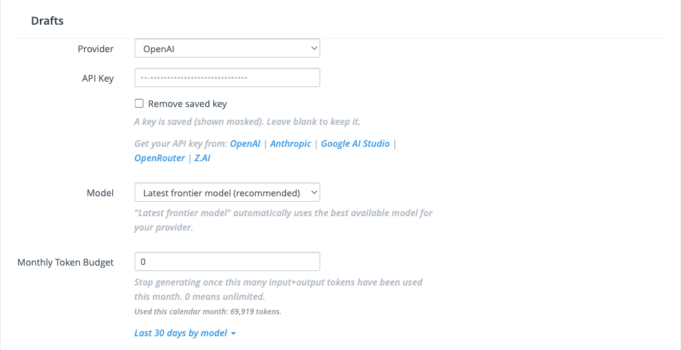 Drafts subsection of the AI Provider settings with provider, saved API key, model, and monthly token budget fields